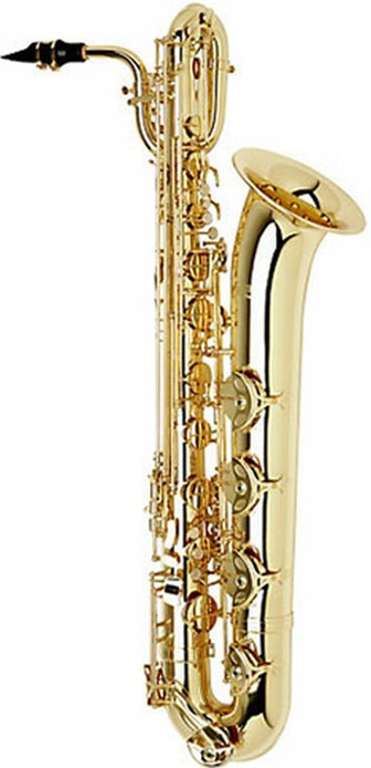 good saxophone on rent dehradun