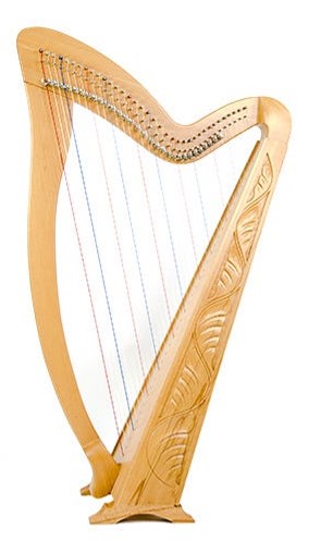 best harp on rent dehradun