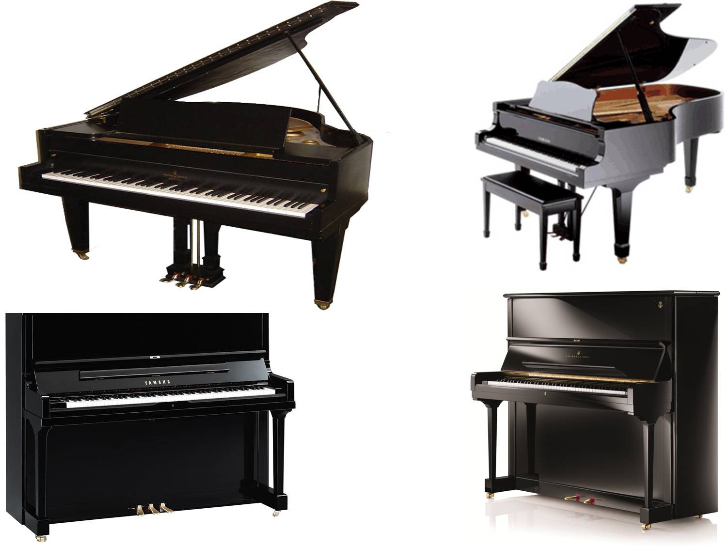 best piano on rent dehradun